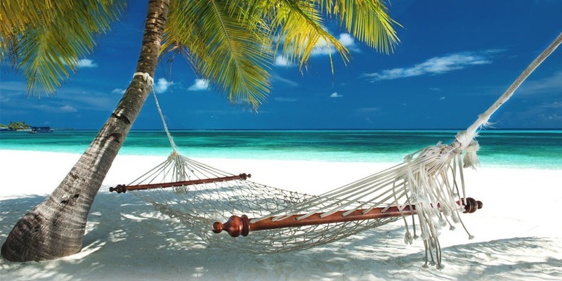 The Top Travel Insurers For November 2025